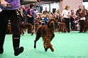 Crufts2011 907